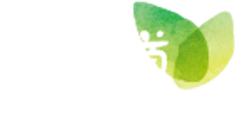 brand logo image