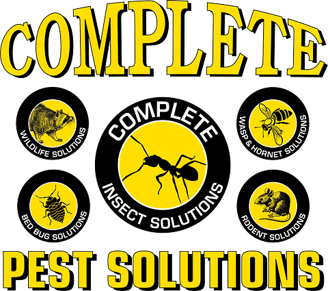 brand logo image