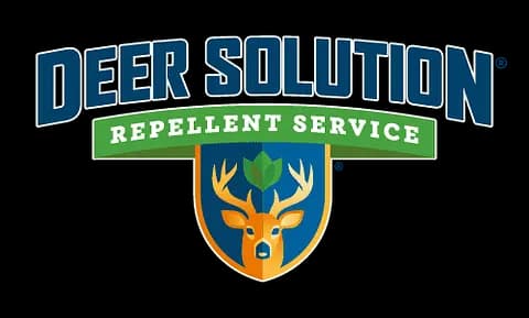 brand logo image