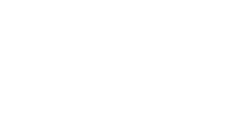 brand logo image