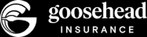 brand logo image