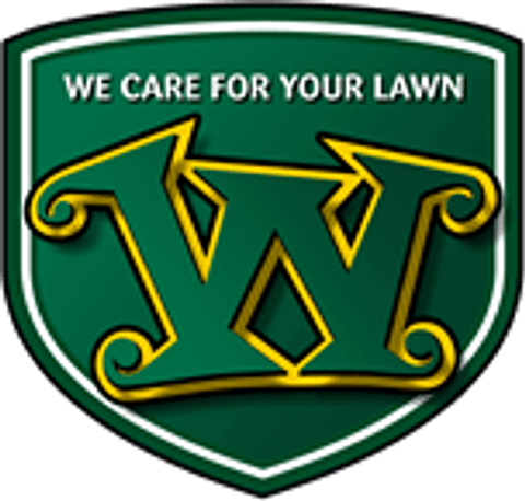 brand logo image