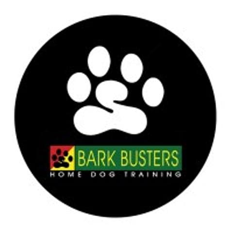brand logo image