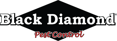 brand logo image