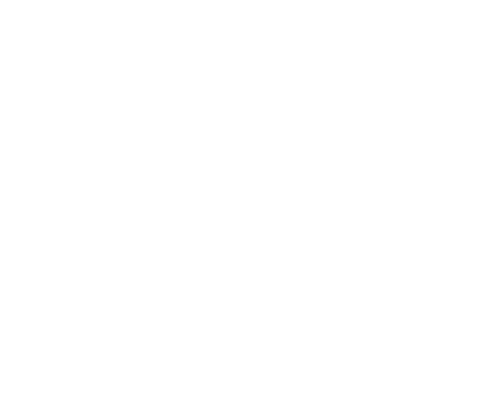 brand logo image