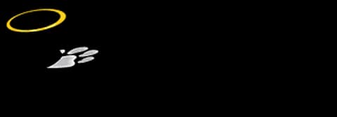 brand logo image