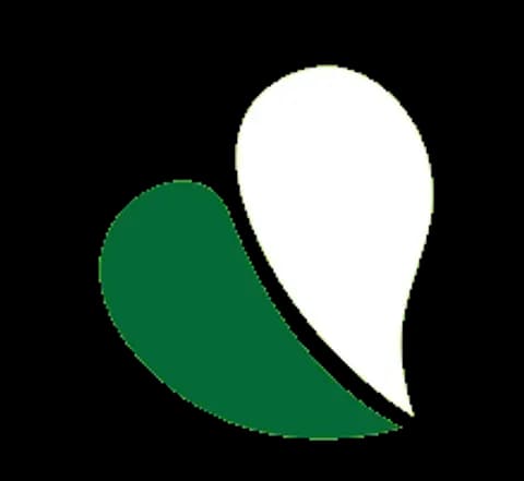 brand logo image