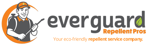 brand logo image