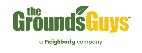 brand logo image