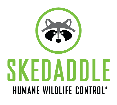 brand logo image