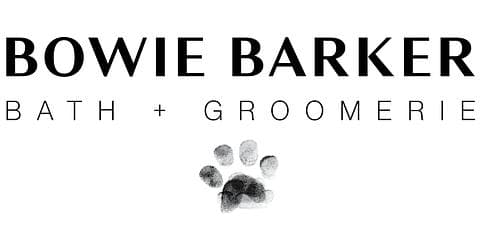 brand logo image